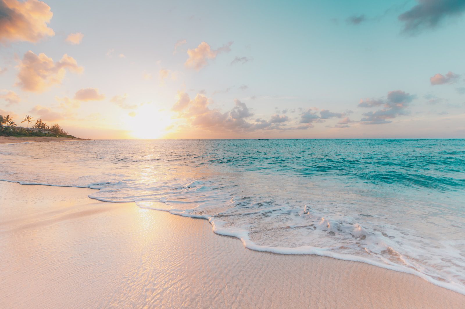 beach, seashore during golden hour